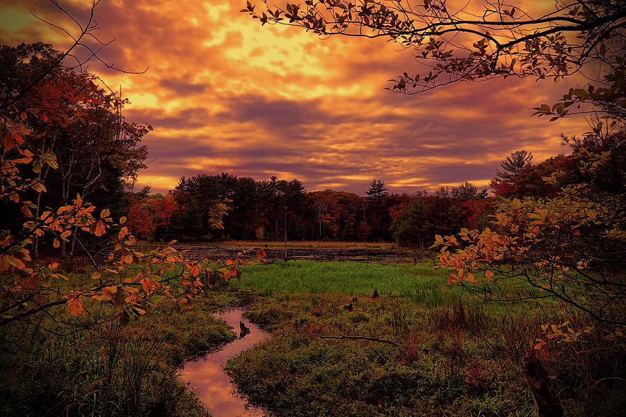 Autumn sunset #3 Photograph by Lilia S