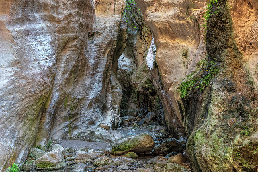 Avakas Gorge - Cyprus #4 Photograph by Joana Kruse