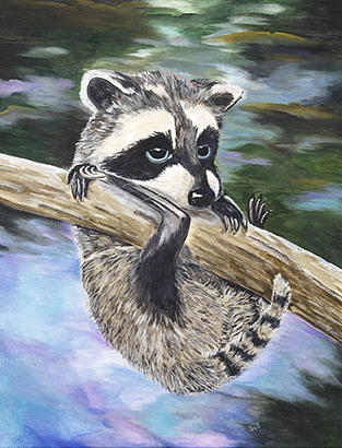 Baby Raccoon #3 Painting by Sue Ervin - Fine Art America