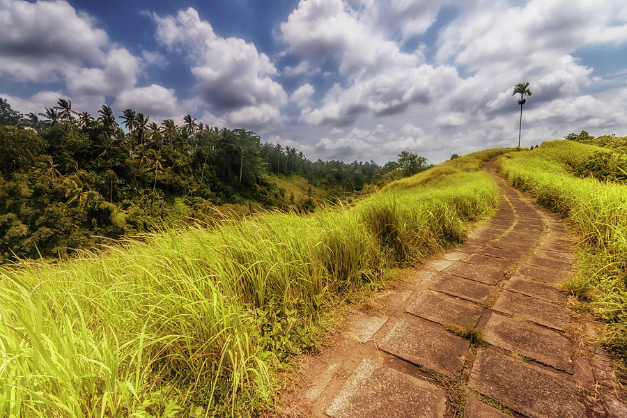 Paradise Photograph - Bali landscape #3 by Jijo George