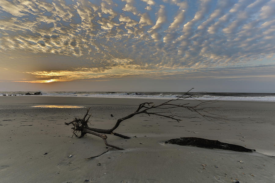 Beach Sunrise #3 Photograph by Jimmy McDonald