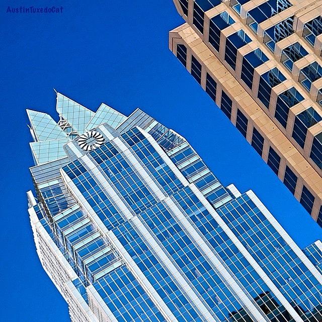 Skyscraper Photograph - #beautiful #bluesky And The Frost Bank #3 by Austin Tuxedo Cat