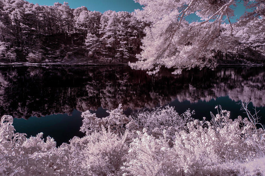 Beautiful False Color Surreal Infrared Landscape Image Of Lake A Photograph
