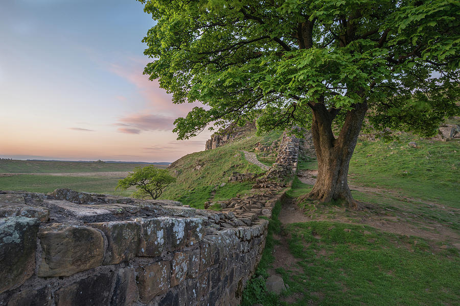 Landscape Photograph - Beautiful landscape image of Sycamore Gap at Hadrians Wall in N #3 by Matthew Gibson