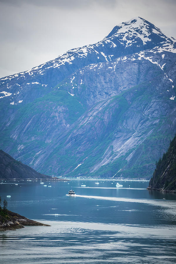 Beautiful Landscape In Alaska Mountains  #3 Photograph by Alex Grichenko