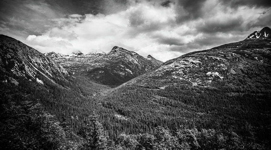 Beautiful Rocky Mountains In June In Whitepass Near Skagway Alas #3 Photograph by Alex Grichenko