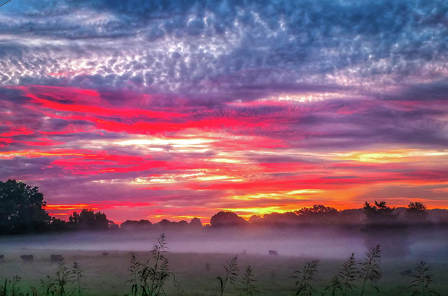 Beautiful Sunrise Over Farmland In South Carolina #3 Photograph by Alex Grichenko