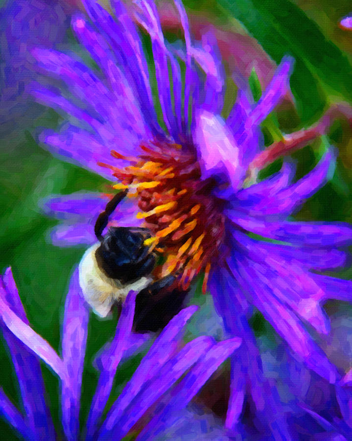 Bee on Purple Flower #3 Painting by Prince Andre Faubert