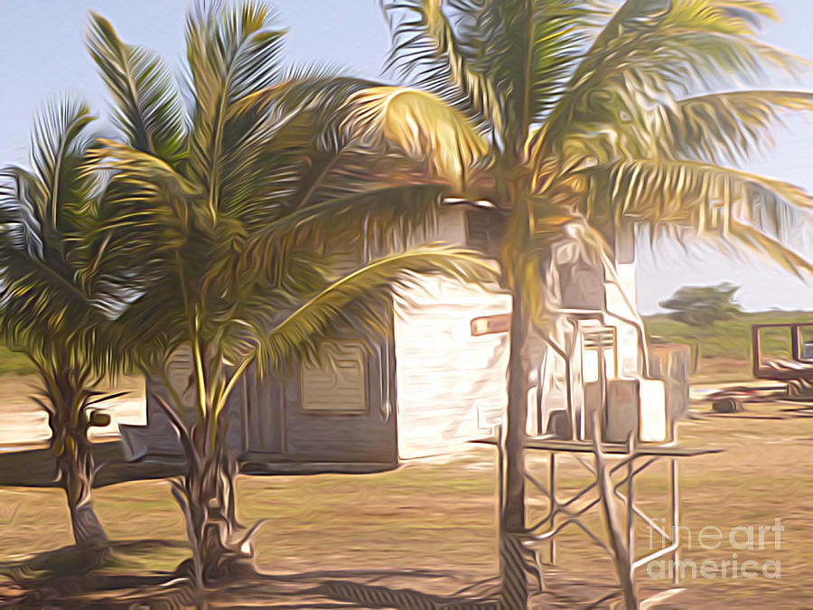 Belize - Two Story Wooden House Obscured by Three Palm Trees  Digital Art by Jason Freedman