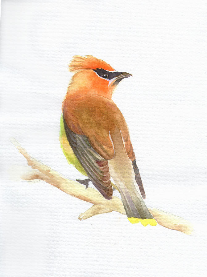 Bird Painting #3 Painting by Tina Zhou
