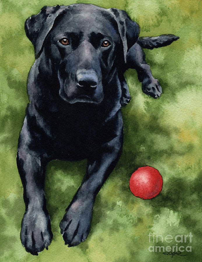 Dog Painting - Black Lab #2 by David Rogers