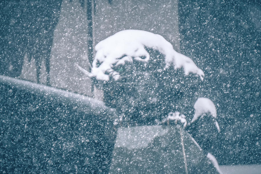 Black Panther Statue Seen Through Falling Snow Flakes #3 Photograph by Alex Grichenko