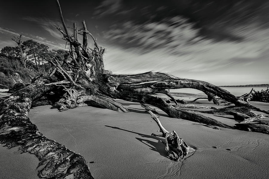 Black Rock Beach #3 Photograph by Peter Lakomy