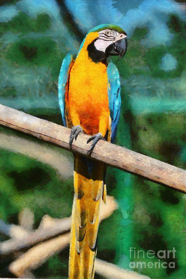 Macaw Painting - Blue and Gold Macaw #3 by George Atsametakis