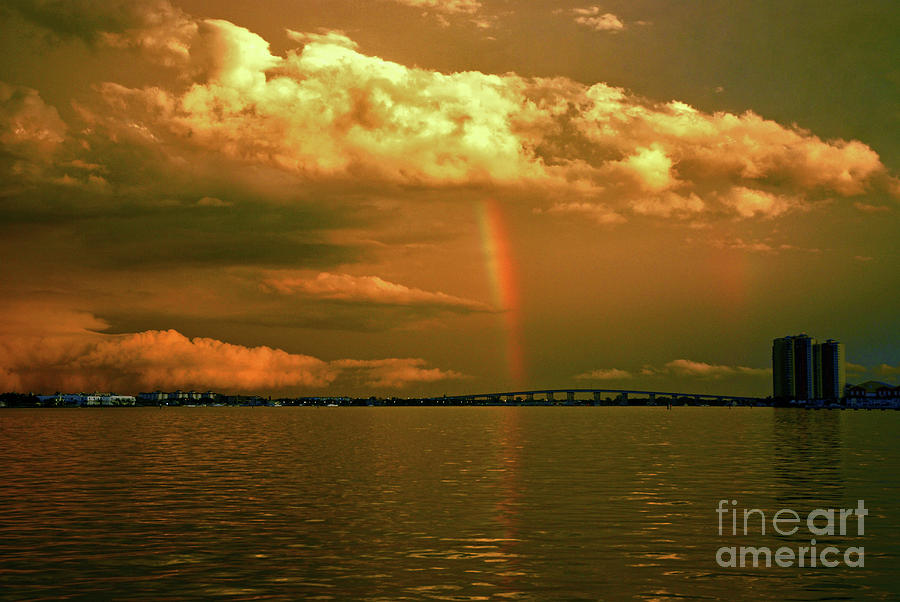 3- Blue Heron Bridge Photograph by Rainbows