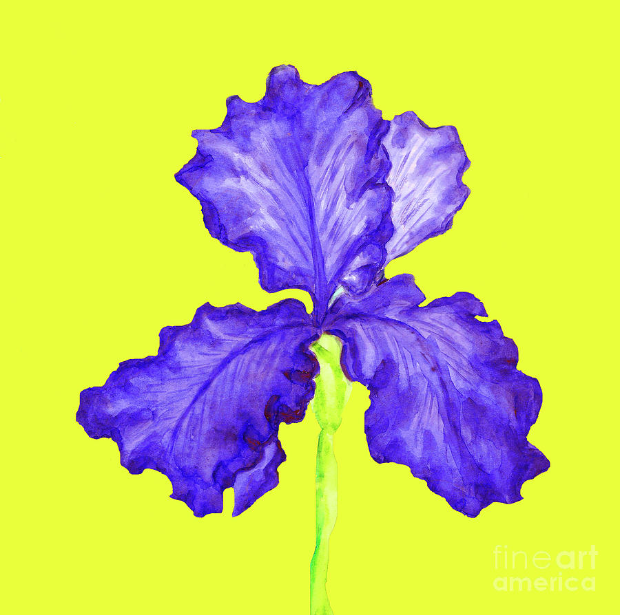 Blur iris, painting #3 Painting by Irina Afonskaya