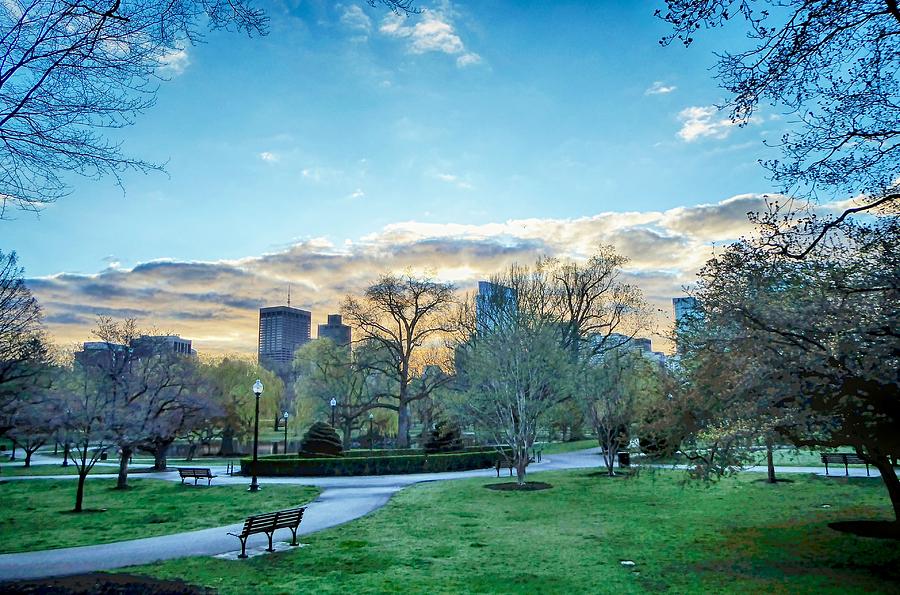 Boston Public Garden at Dawn #3 Photograph by Scott Hufford