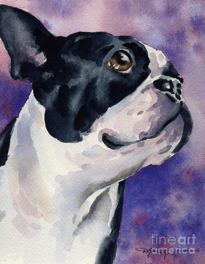 Boston Painting - Boston Terrier #2 by David Rogers