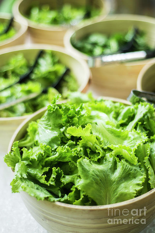 Bowls Of Fresh Organic Lettuce Leaves In Salad Bar Display #3 Photograph by JM Travel Photography