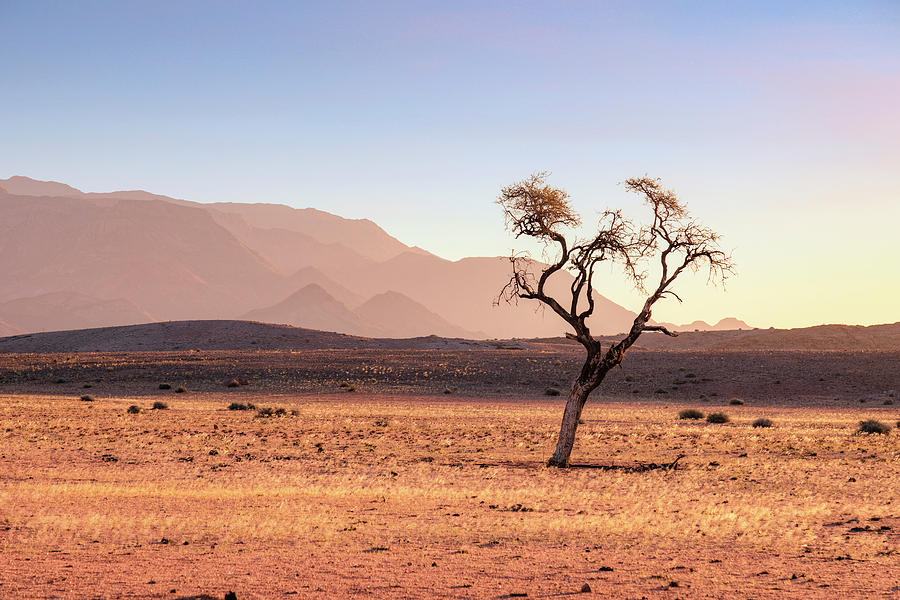 Brandberg - Namibia #3 Photograph by Joana Kruse