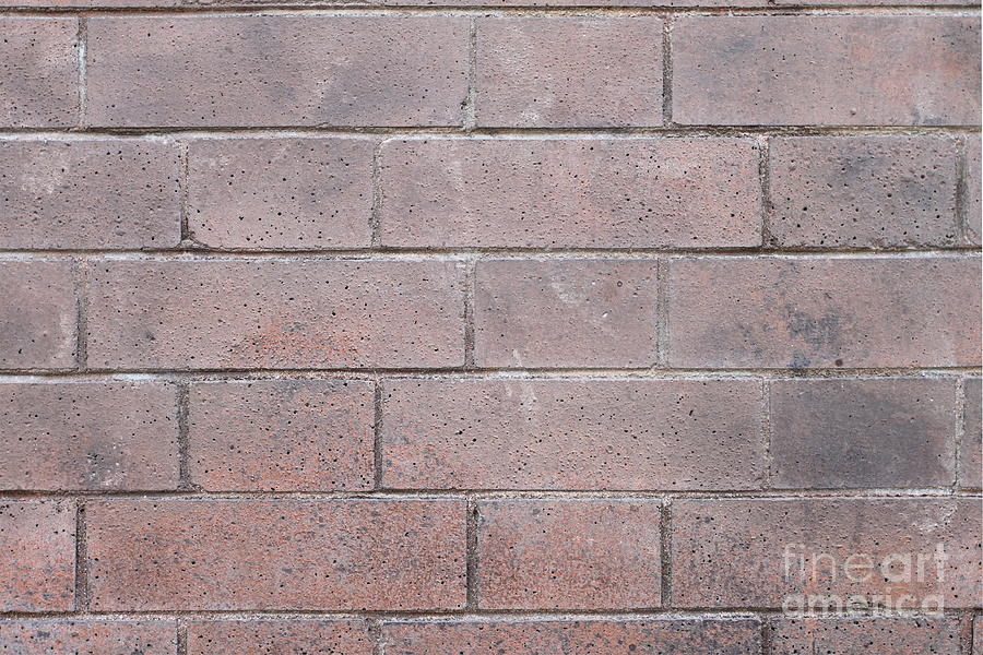 Brick Wall #3 Photograph by Henrik Lehnerer