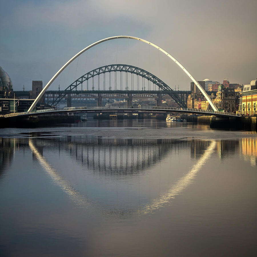 Bridges Over The Tyne Photograph