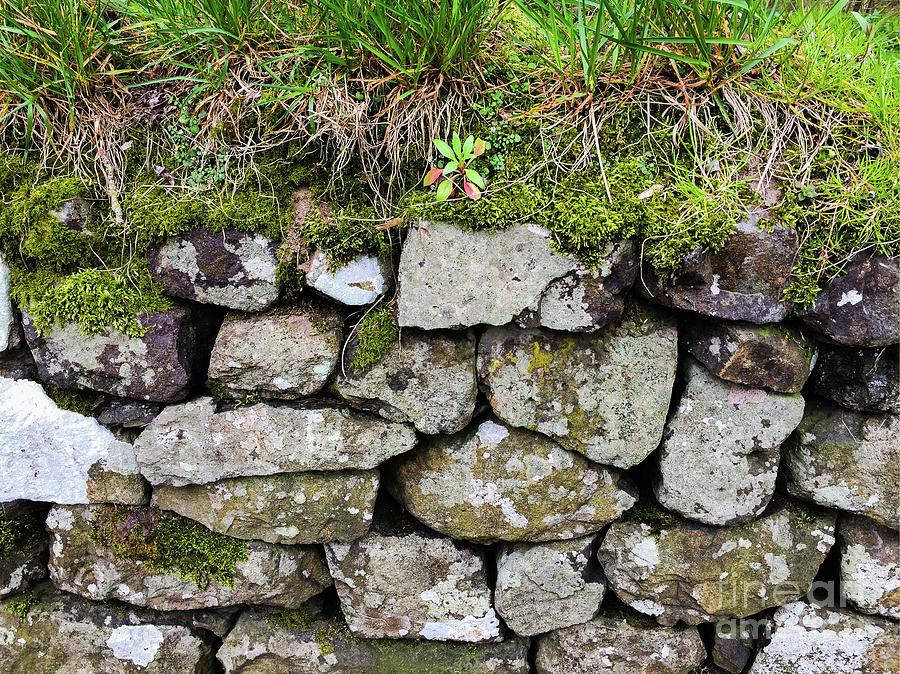 Nature Photograph - British Dry Stone Wall, Photo by Mary Bassett #3 by Esoterica Art Agency