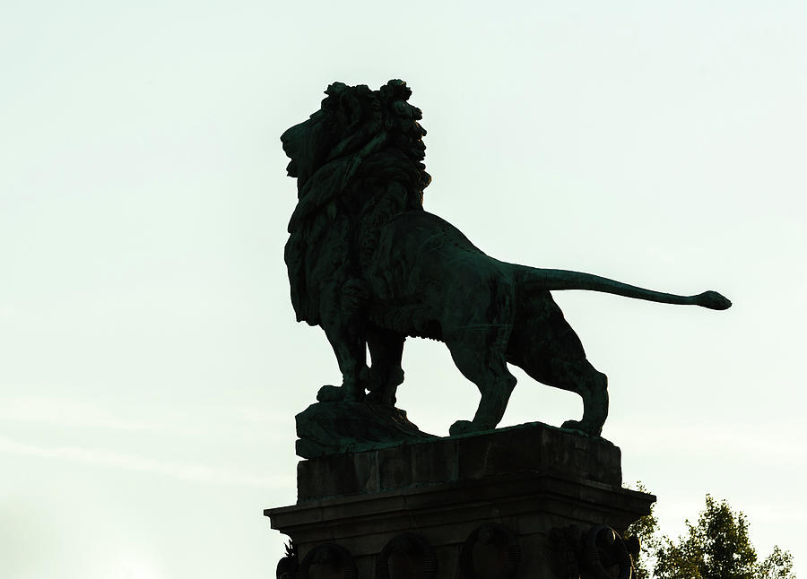 Bronze lion of Schemerl Bridge in Vienna, Austria Photograph by Stefan ...