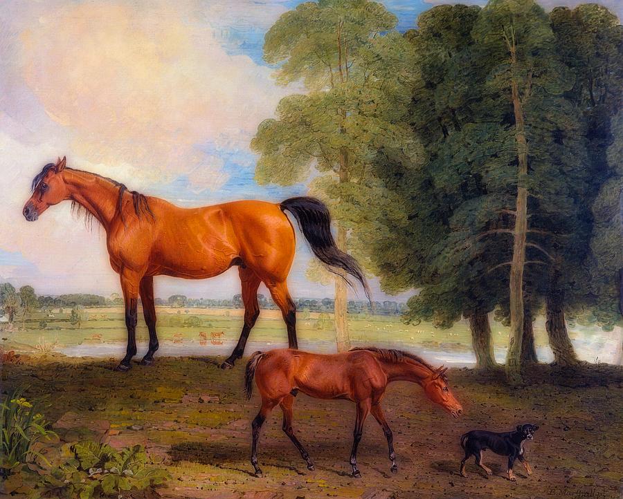 Vintage Painting - Broodmare With Foal And A Terrier #4 by Mountain Dreams