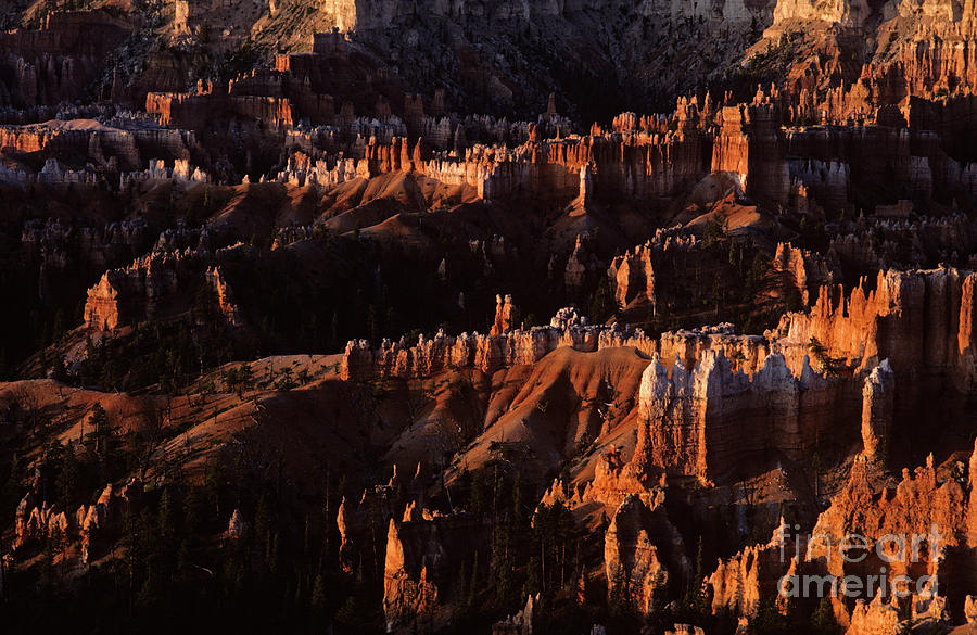 Bryce Canyon National Park Hoodo monoliths sunrise southern Utah #3 Photograph by Jim Corwin