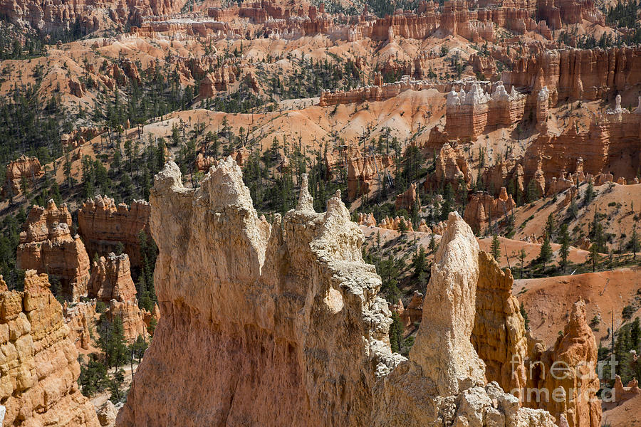 Bryce Canyon National Park #3 Photograph by Jim West