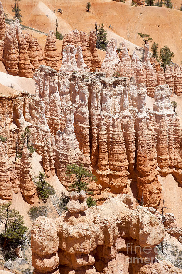 Bryce Canyon - Utah #3 Photograph by Anthony Totah