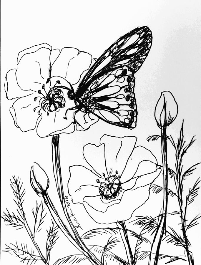 Butterfly  #3 Drawing by Hae Kim