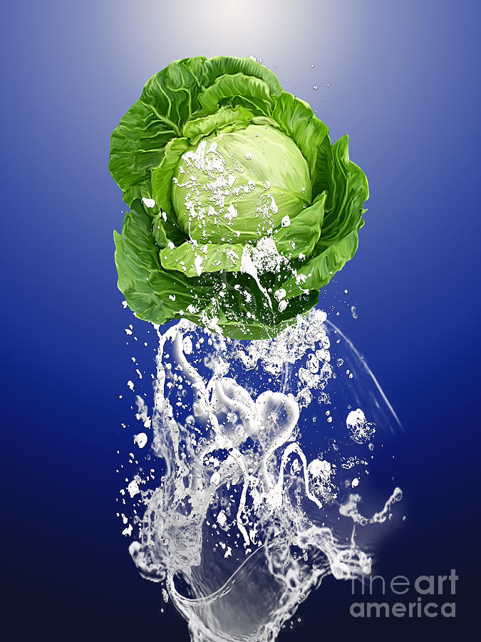 Cabbage Splash #3 Mixed Media by Marvin Blaine