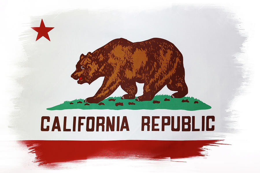 California flag #3 Photograph by Les Cunliffe
