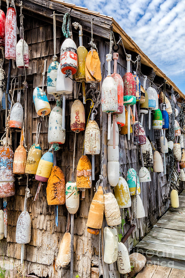 Cape Neddick Lobster Pound, York, Maine #3 Photograph by Dawna Moore Photography