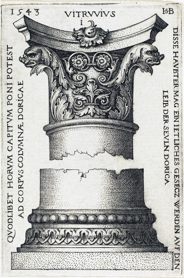 Capital and Base of a Column #3 Drawing by Sebald Beham