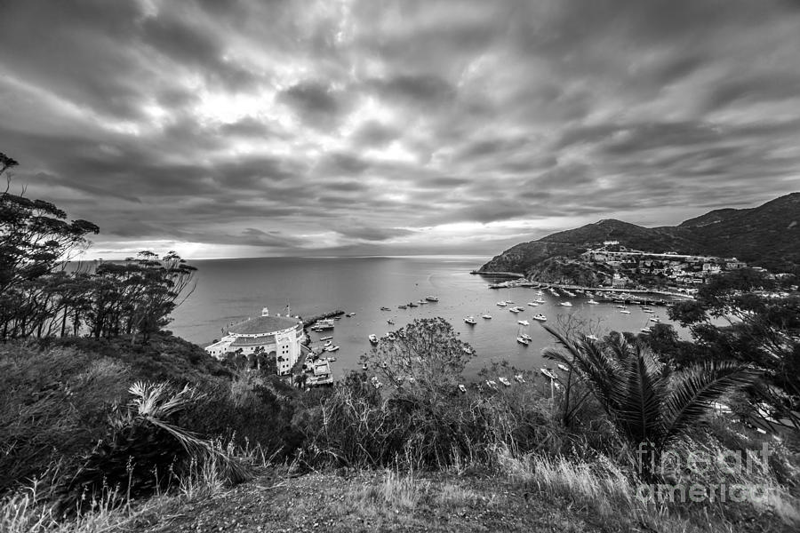 Catalina Island Avalon Bay Black and White Picture #3 Photograph by Paul Velgos