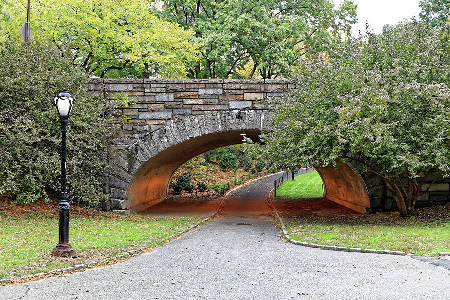 Central Park Bridge #4 Photograph by Doolittle Photography and Art
