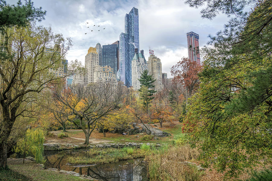 Central Park in Autumn Photograph by June Marie Sobrito | Fine Art America