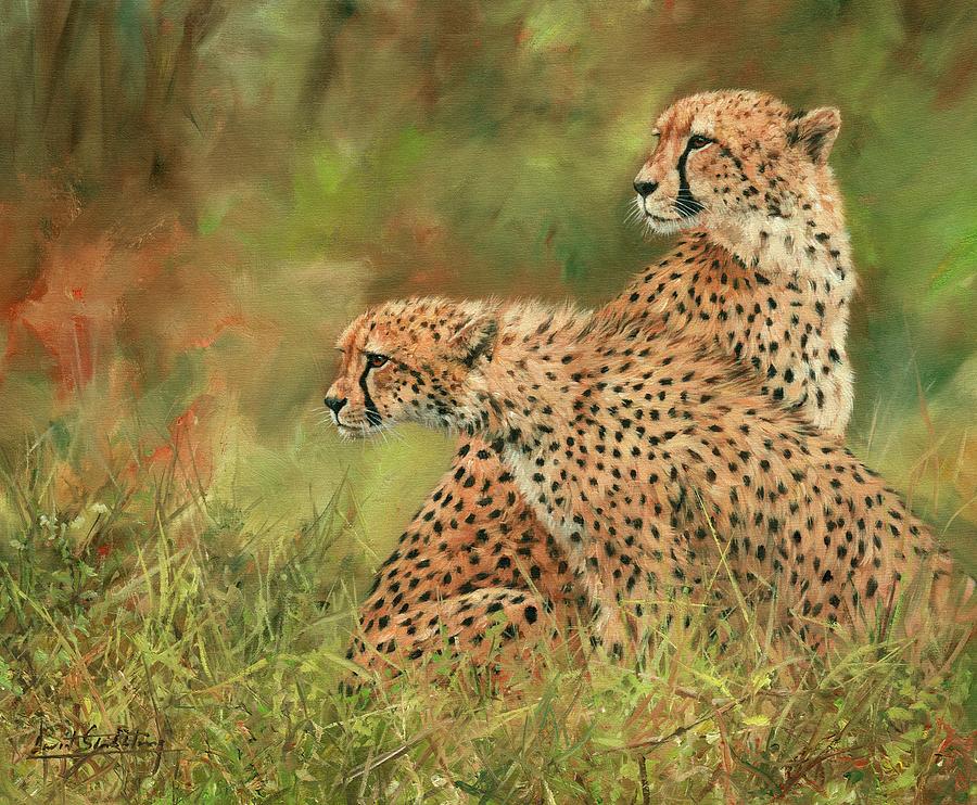 Cheetahs #3 Painting by David Stribbling