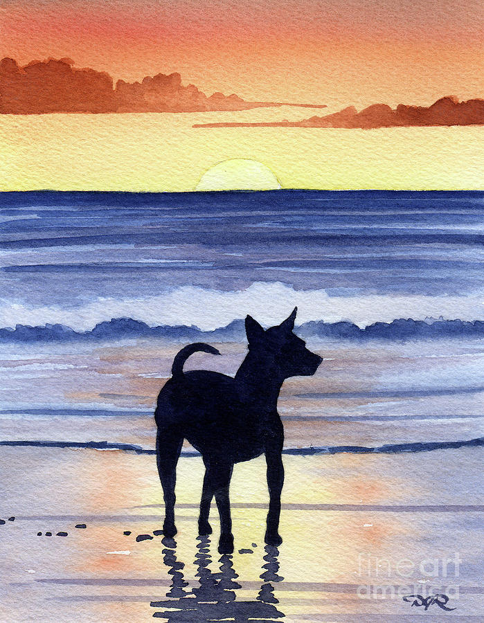 Sunset Painting - Chihuahua at the Beach  #2 by David Rogers