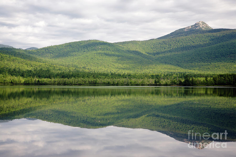 Chocorua Lake - Tamworth New Hampshire Photograph by Erin Paul Donovan