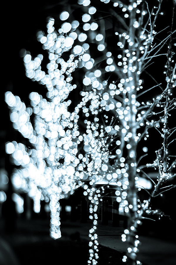 Christmas Lights Holiday Decorations Around Charlotte North Caro #3 Photograph by Alex Grichenko