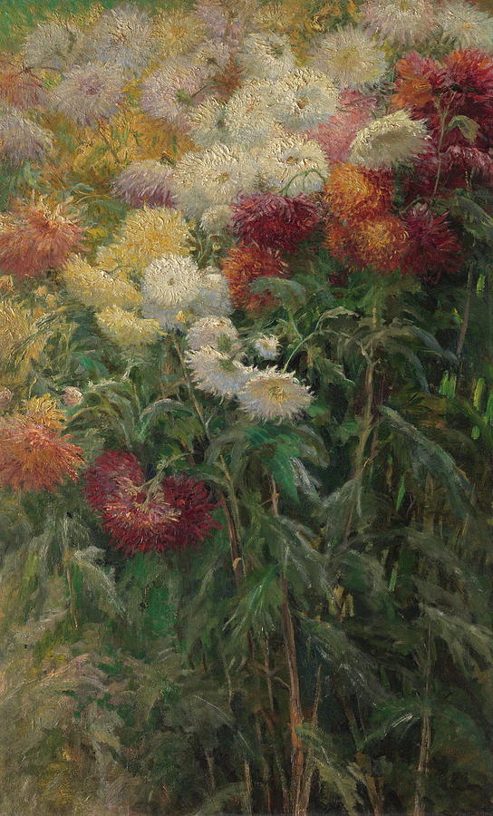 Gustave Caillebotte Painting - Chrysanthemums In The Garden At Petit Gennevilliers #3 by Gustave Caillebotte