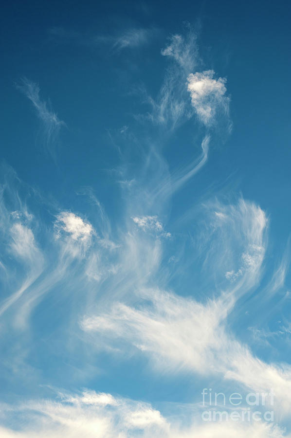 Cirrus Fibratus Fair Weather Clouds  #3 Photograph by Jim Corwin