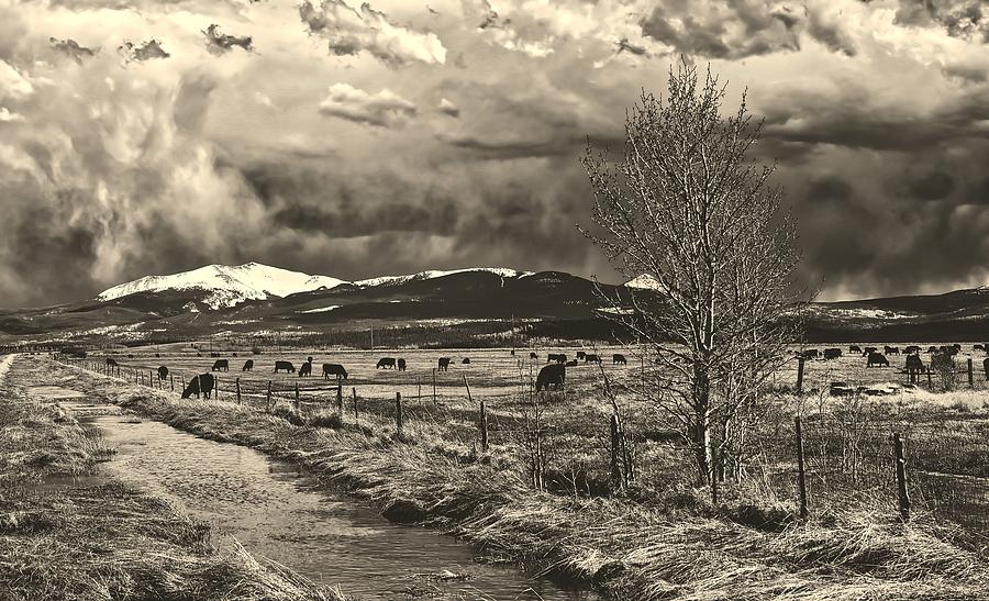 Cloudy Day In Colorado #3 Photograph by Mountain Dreams