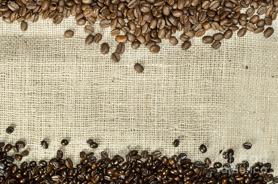 Coffee Photograph - Coffee beans #3 by Deyan Georgiev
