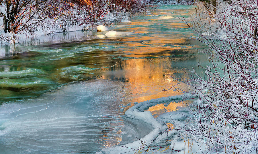 Color of Winter #3 Photograph by Leland D Howard