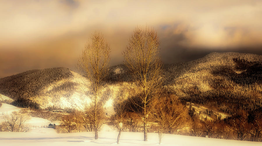 Colorado Winter Wonderland #3 Photograph by Mountain Dreams
